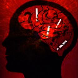 Voices In My Head