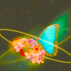 That’s not Possible