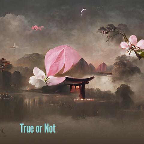 True or Not