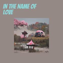 In the Name of Love