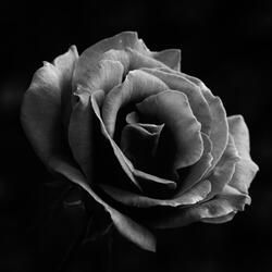 imperfect soul