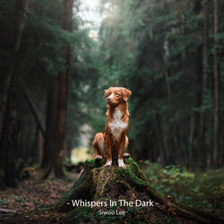 Whispers In The Dark