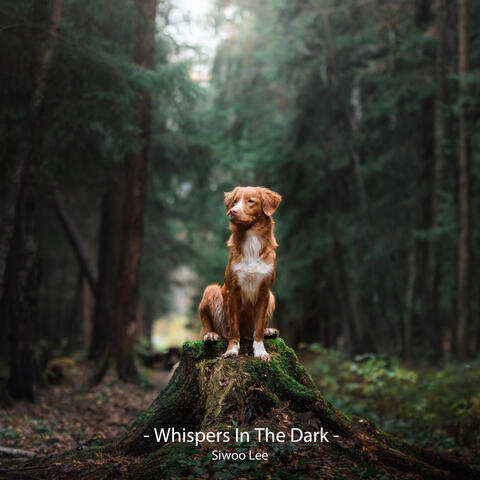 Whispers In The Dark