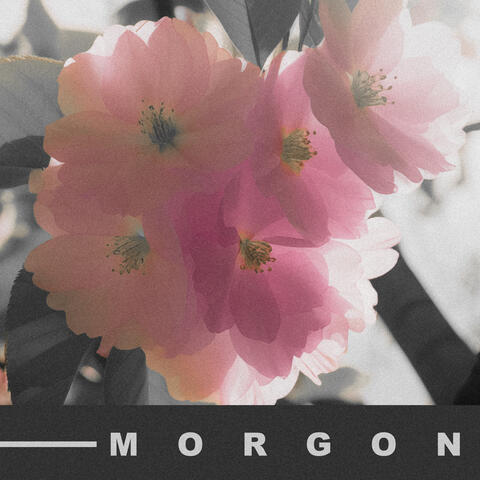 Morgon