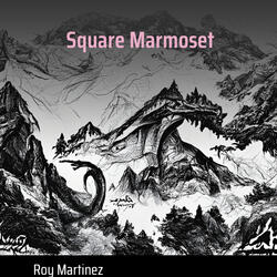 Square Marmoset