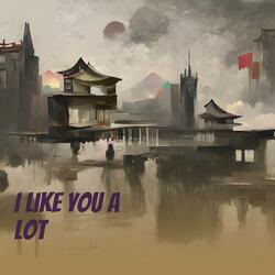 I Like You a Lot