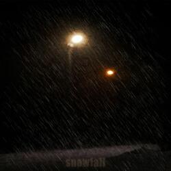 Snowfall
