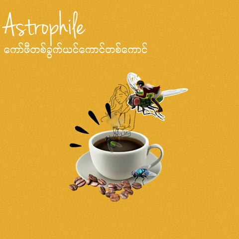 ကော်ဖီတစ်ခွက်ယင်ကောင်တစ်ကောင်