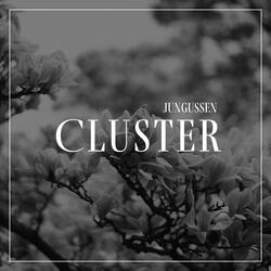 Cluster