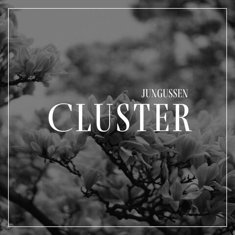 Cluster