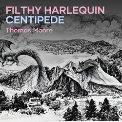 Filthy Harlequin Centipede