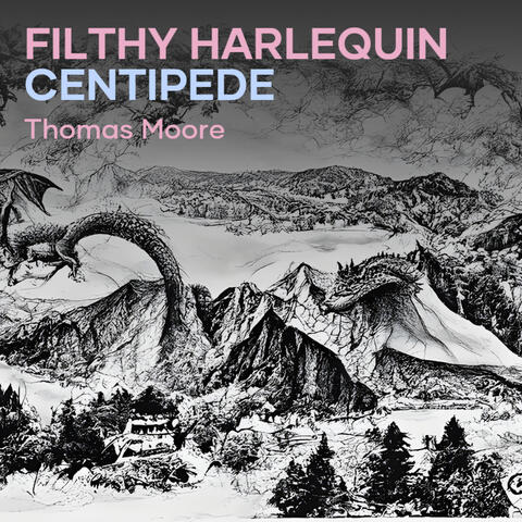 Filthy Harlequin Centipede