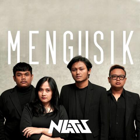Mengusik