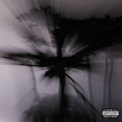 Deathless