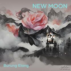 New Moon