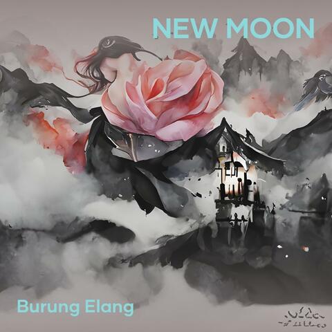 New Moon