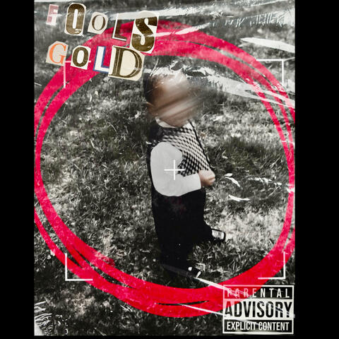 FOOLS GOLD