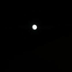 Therian Wolf (Sped Up)
