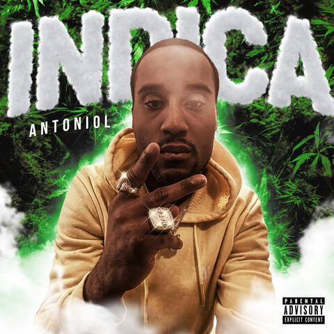 INDICA