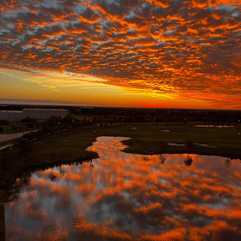 I Want You/take Our Time