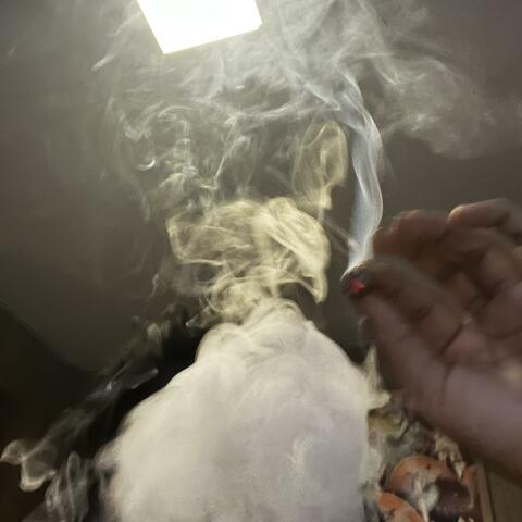 Too Fried