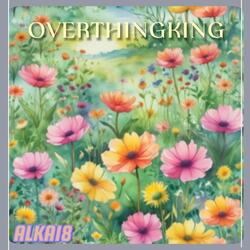 Overthinking
