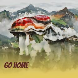 Go Home