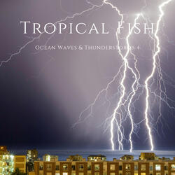 Ocean Waves & Thunderstorms 4