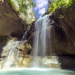 Fısıldayan Ormanın Cazibesi