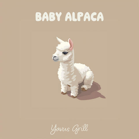 Baby Alpaca