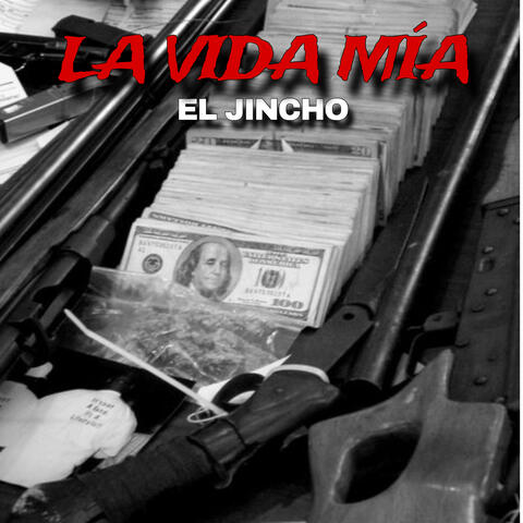 La Vida Mía