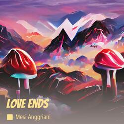 Love Ends