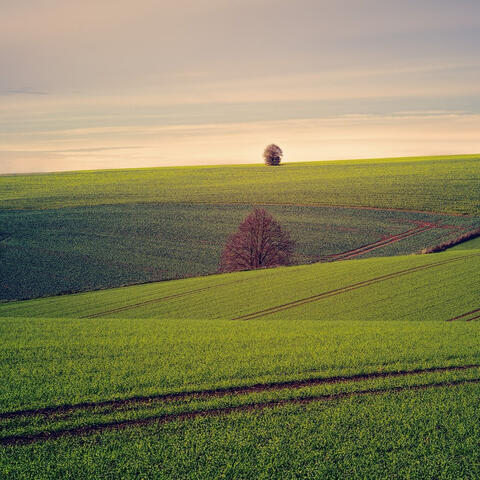 저 작은 기억 넘어