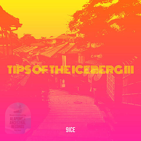 Tip Of The Iceberg