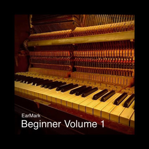 Beginner Vol. 1