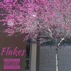Flakes