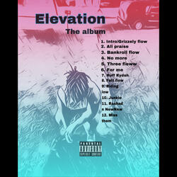 Grizzely Flow (Intro)
