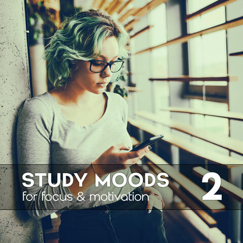 Study Moods for Focus & Relaxation Vol. 2