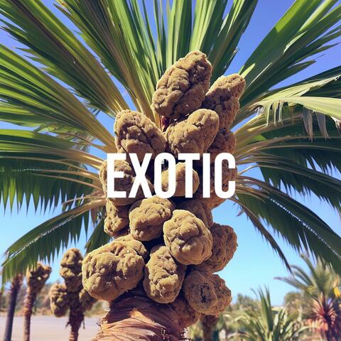Exotic