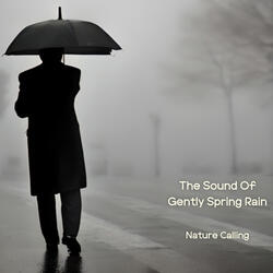 ASMR Spring Rain Sound