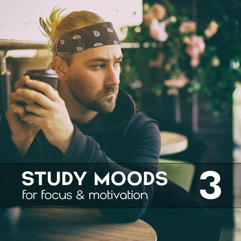 Study Moods for Focus & Relaxation Vol. 3