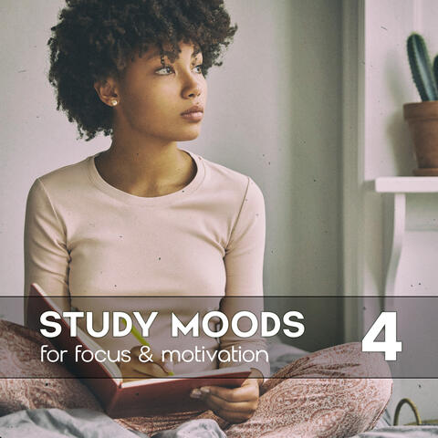 Study Moods for Focus & Relaxation Vol. 4