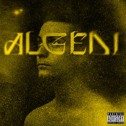 Algedi