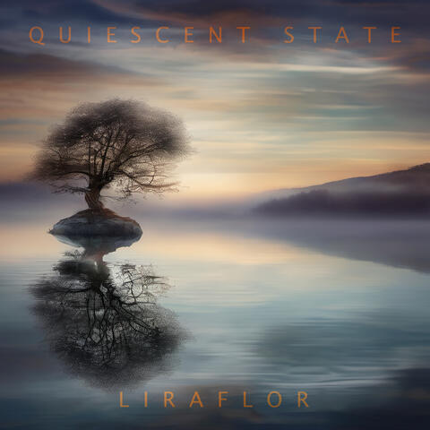 Quiescent State