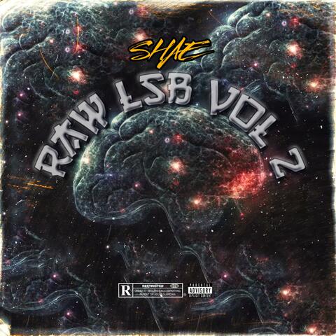 RAW LSB VOL 2