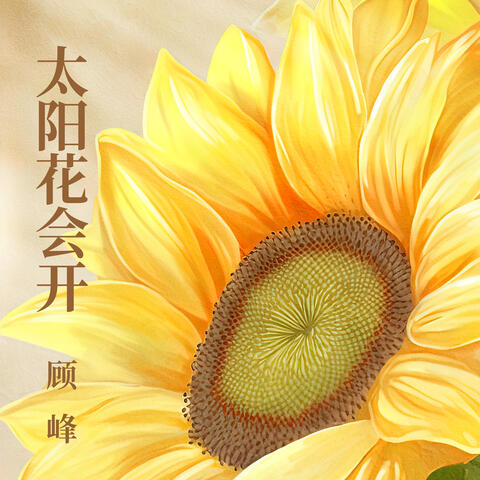 太陽花會開