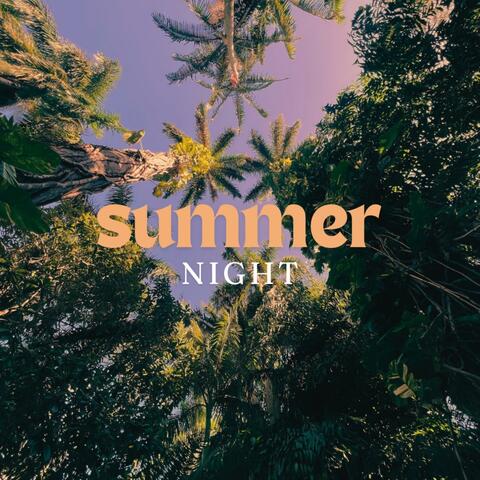 Summer Night