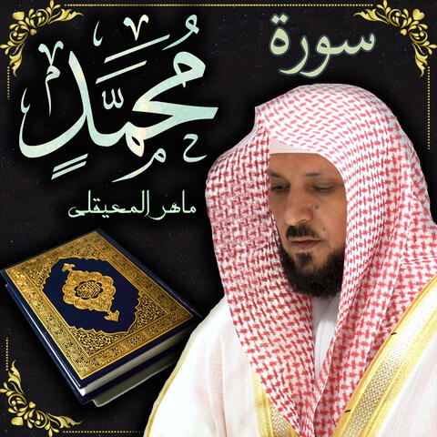 سورة محمد ماهر المعيقلي