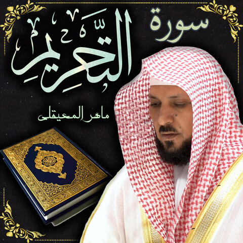 سورة التحريم ماهر المعيقلي