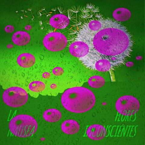 Flores Inconscientes